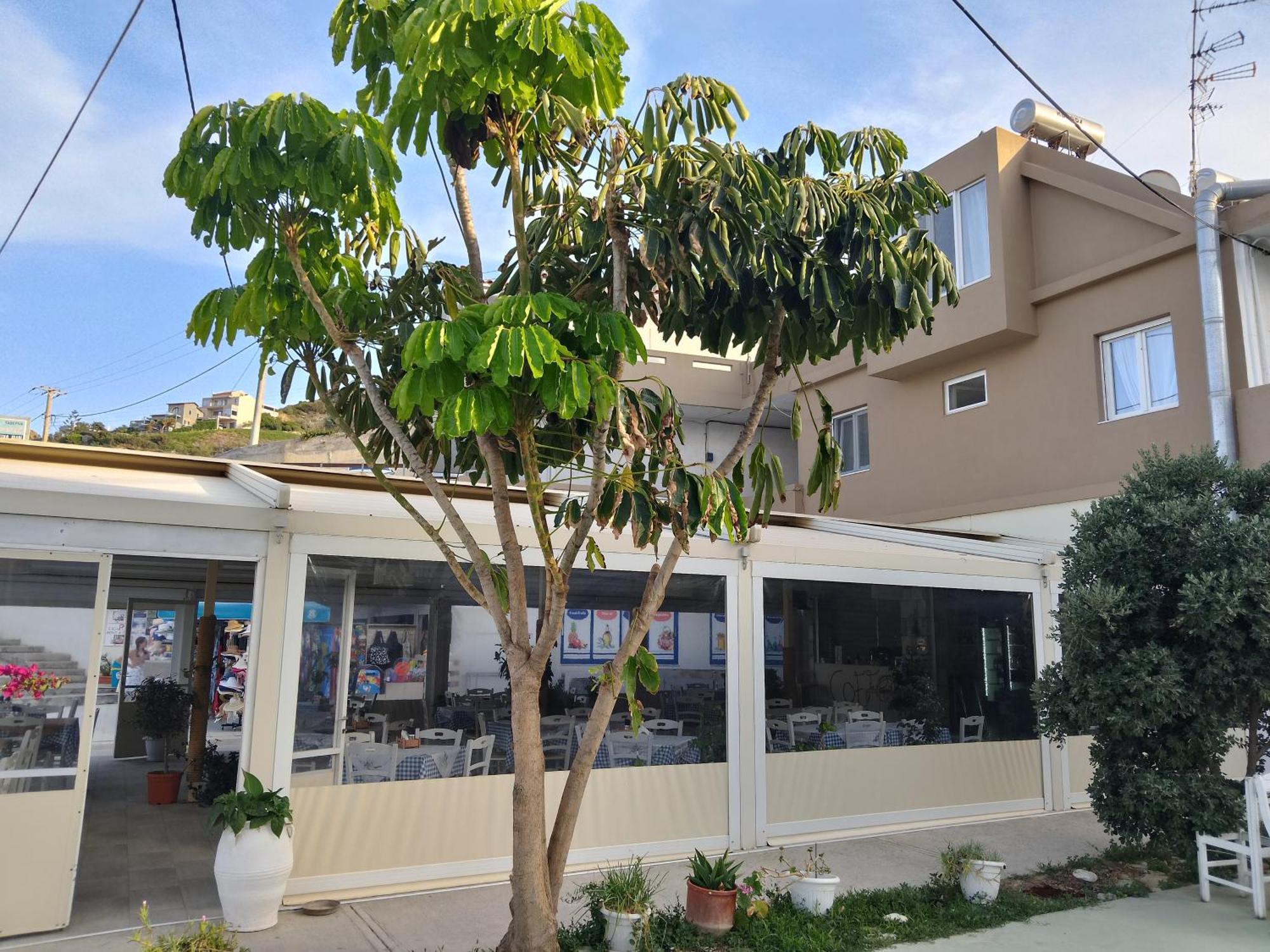 Anatoli Lygaria Apartments On The Beach Ligaria  Ngoại thất bức ảnh